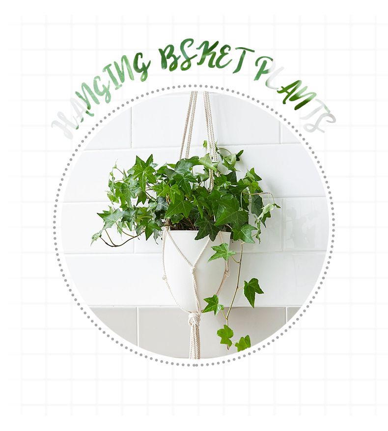 Garden Supplies Lazy D Hanging Plant Pot Automatic Water Absorption Frosted Decorative Hanging Flower Pot Plastic Water Storage Flower Pot_voghion.com