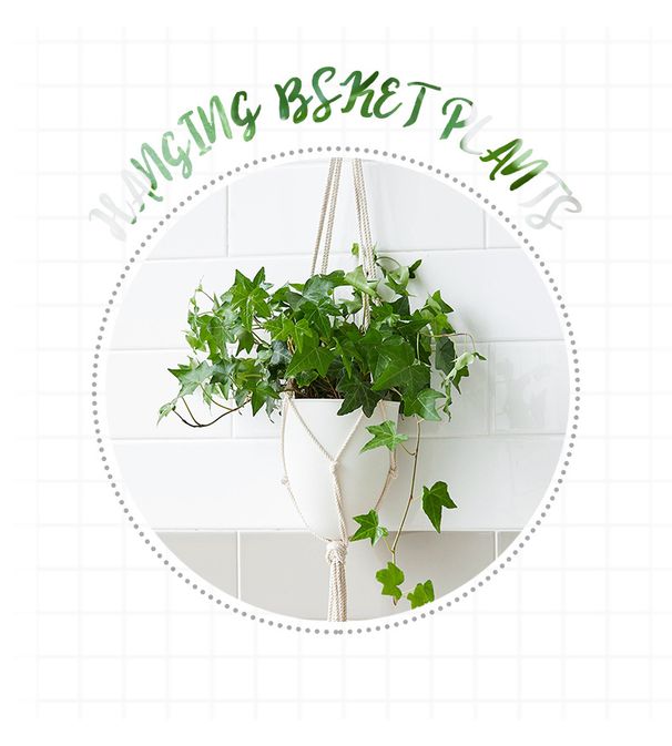 Garden Supplies Lazy D Hanging Plant Pot Automatic Water Absorption Frosted Decorative Hanging Flower Pot Plastic Water Storage Flower Pot_voghion.com