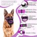 Maschera per cani, protezione per spuntini, abbaiare, mordere, rete traspirante, bocca anti-leccamento dedicata_voghion.com