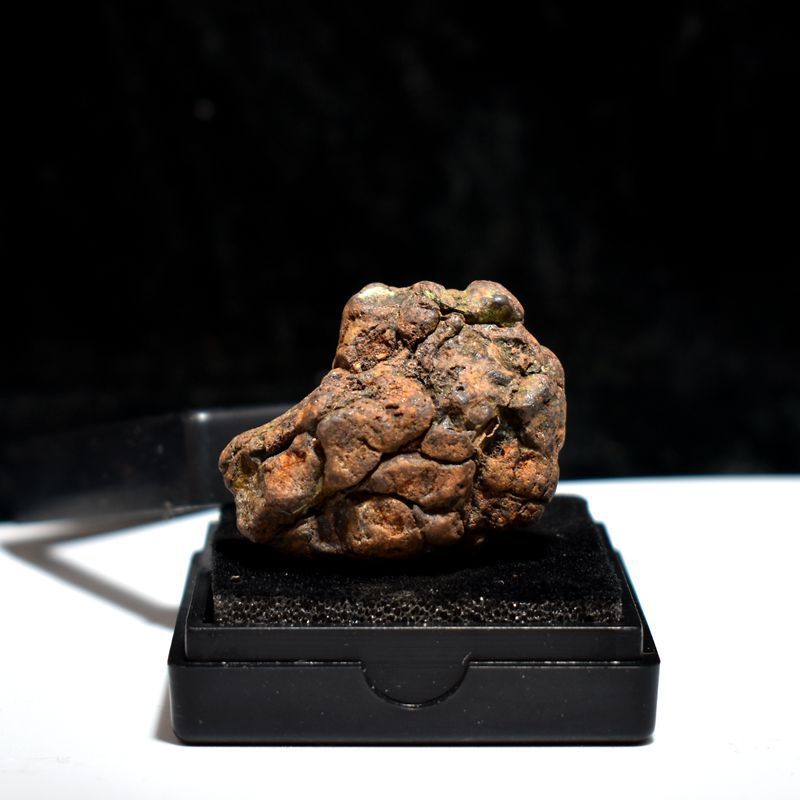 Kenia Serico Meteoryt Oliwkowy Meteoryt Żelazny Meteoryt Tiantie Północny Zachód Niechondrytowy Nauczanie Popularnonaukowy Okaz_voghion.com