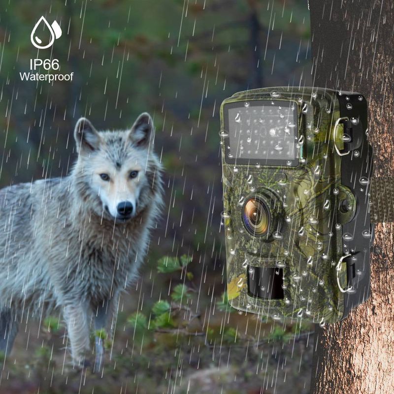 Wildlife Trail Camera – 1080P HD Night Vision With 6-Month Battery & Rainproof IR Tracking (Up To 16MP, TF Card Ready)​_voghion.com