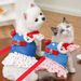 Haustiergeschirr Kleidung Teddy Bichon Französische Bulldogge Schnauzer Katze Kleid Hundebedarf_voghion.com
