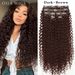 Extensions de cheveux, perruques, cheveux longs et bouclés, lot de 6 pièces, extensions à clips, boucles crépues, afro duveteux_voghion.com