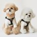 Guinzaglio per cani in pelle coreano di piccole dimensioni in PU, Teddy Bichon, imbracatura per esterni, corda di trazione_voghion.com
