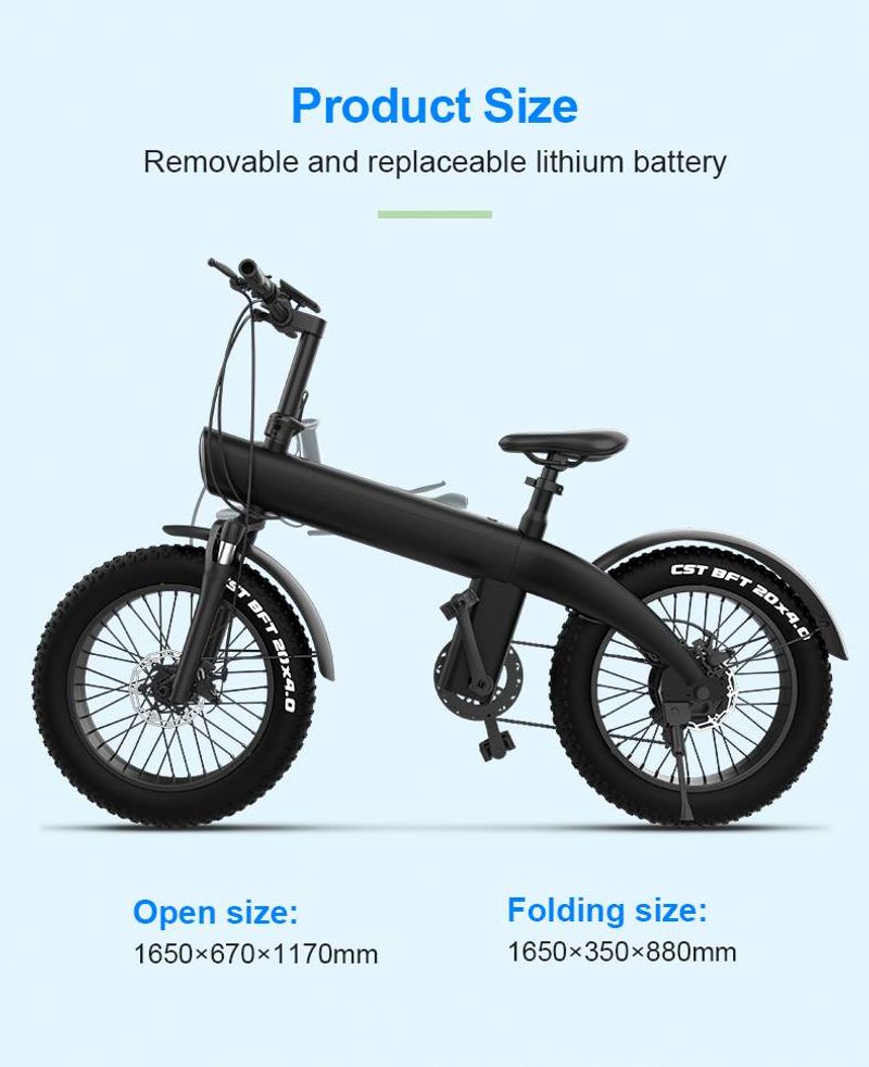 Q3 Foldable Mountain Electric Bicycle 750W 45km/h Adult Electric Bike 48V 13AH Ebike 20Inch Tire Off-Road Fatbike City E Bike_voghion.com