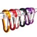 10 pezzi moschettone clip mini portachiavi in lega di alluminio moschettone clip anelli a D per campeggio all'aperto escursionismo pesca zaino in spalla 2023_voghion.com