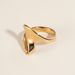 Ins Cold Style Hip-Hop Irregular Shape For Women Gold-Plated Titanium Steel Trendy Niche Ring_voghion.com