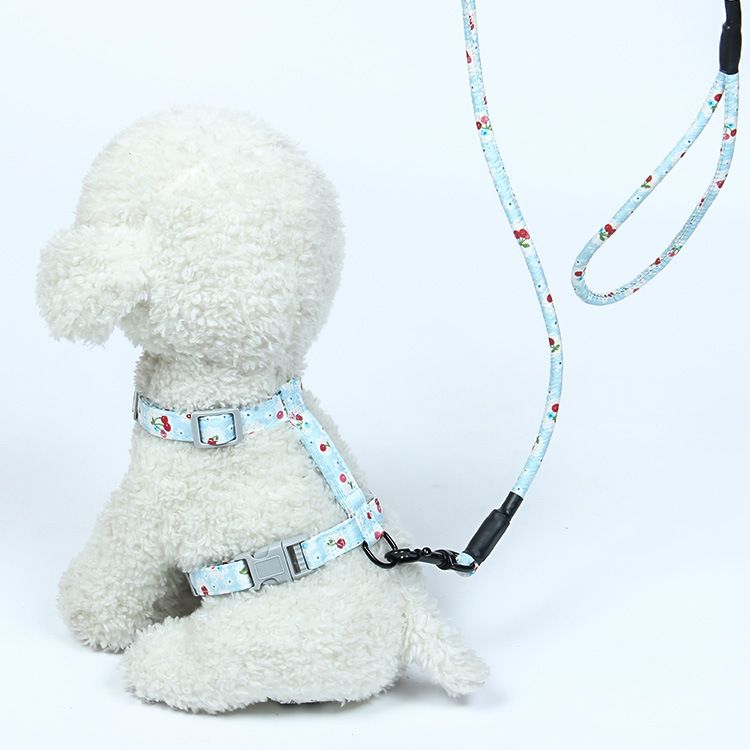 Ιμάντας στήθους και ώμου για εργασία για κατοικίδια, ρυθμιζόμενη αλυσίδα, σχοινί πρόσφυσης, προμήθειες ιαπωνικής γάτας για περπάτημα κατά της χαλάρωσης_voghion.com