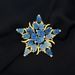 Broche Pentagrama Temperamento Azul Rosa Mudança Gradual Rosa Flor Corsage Mulher_voghion.com