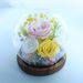 Preserved Flower Glass Sphere Decor - Real Flowers Handmade|LED Light Up Gift Box|Valentine's Day Mother's Day Christmas Gift_voghion.com