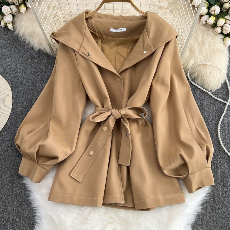Women's Clothing Hooded Windbreaker Jacket For Women Autumn And Winter New Short Style Small Casual Design Waist Jacket For Women_voghion.com