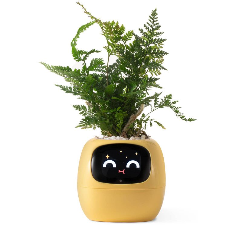 Pametni robot za sajenje hišnih ljubljenčkov, usmerjanje o negi rastlin z emojiji, prikupen spremljevalec rastlin z bogato interakcijo s kretnjami, lepo darilo za postavitev na mizi (rumena)_voghion.com