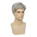Men's Wigs Gray And White Side Parted Short Straight Hair Elastic Net Chemical Fiber Short Wig_voghion.com