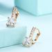 Women's Jewelry Fashion Zircon Earrings K Gold Zircon Accessories_voghion.com