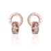 Europe And The United States Rome Diamond New Creative Earrings Rose Gold Titanium Steel Earrings Women's Double Ring Popular Earrings_voghion.com