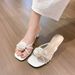 Women's Slippers For Summer Outer Wear New Style Internet Popular Fashionable Exquisite And Beautiful Dress Coarse High Heel Sandals Sandals_voghion.com