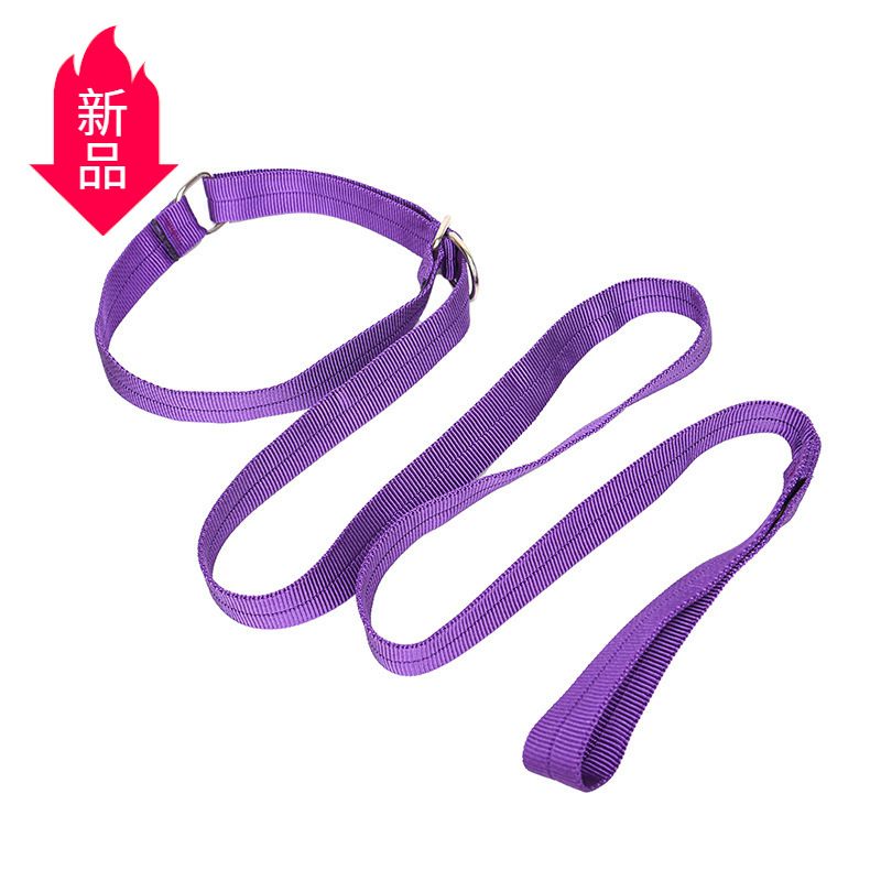 Feine Windhunde, Für Whippets, Hundeleine_voghion.com