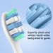 8 Pcs Compatible With Philips Sonicare Electric Toothbrush Replacement Brush Heads , Professional Toothbrushes Head Refills For 4100 6500 6100 7500_voghion.com