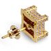 Women's Jewelry Square CZ Stud Earrings Hip Hop Style 925 Silver Plated Earrings For Men And Women_voghion.com