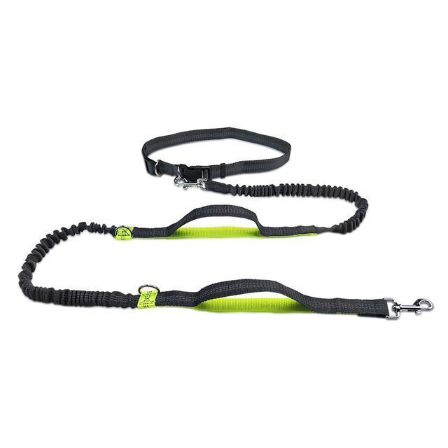 Hands-Free Cat And Outdoor Running Reflective Dual Retractable Pet Dog Leash_voghion.com