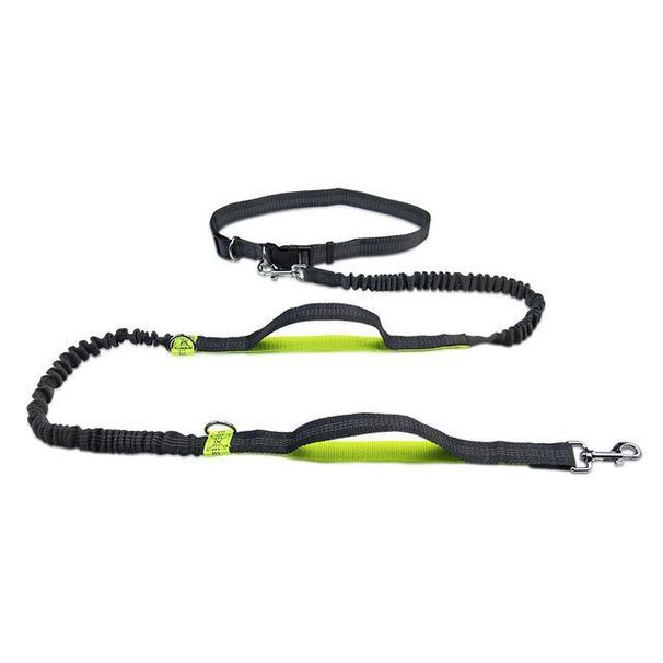 Hands-Free Cat And Outdoor Running Reflective Dual Retractable Pet Dog Leash_voghion.com