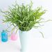 Popular spray color spring grass artificial flowers water grass plant wall restaurant decoration interior soft furnishing_voghion.com
