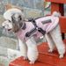 Huisdierkleding Warme Verdikte Herfst Winter Tweebenige Teddy Bichon Pomeranian Schnauzer Kleine Hondenvest_voghion.com