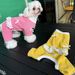 Heartwarming New Pet Four-Legged Clothes For Small Dogs And Cats, Autumn Style With Many Bowknot Designs_voghion.com