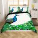 Capa de edredom de pavão para berço para meninos e meninas, elegante capa de edredom de pássaros, conjunto de cama de animais selvagens, conjunto de cama de penas de pavão exótico, decoração de quarto_voghion.com