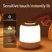 LED Nuetsliicht Touchlamp Dëschluucht Nuetsliicht Schlofkummerluucht mat Touchsensor Tragbar Schreifdëschluucht Liicht fir Kanner Kaddoe LED_voghion.com
