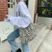 Japanese and Korean Ins modern small leopard print messenger single Shoder canvas bag for Fem students Y241026_voghion.com