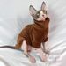 Vestiti per gatti Sphynx senza peli, autunno inverno, strato di base in velluto Devon Rex, caldi e confortevoli_voghion.com