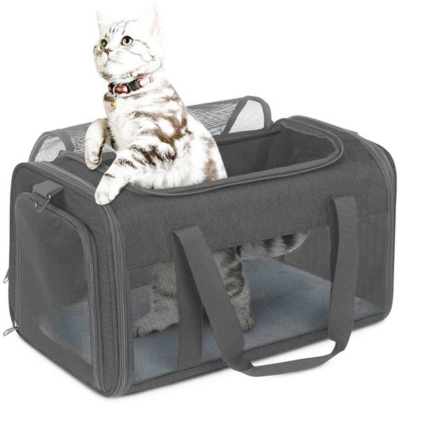 Cross-Border Portable Cat Single Room Crossbody Backpack Breathable Foldable Handheld Car Small Dog Pet Bag_voghion.com