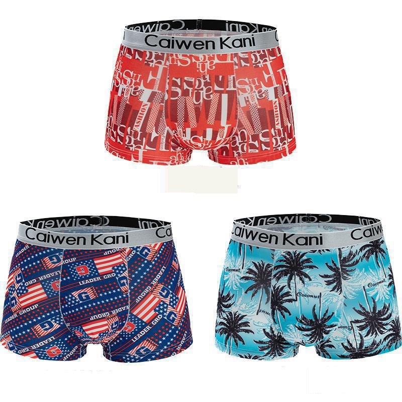 Underwear & Sleepwears Underwear Boxer Briefs Ice Silk Youth Sexy Breathable Boxer Briefs Underwear_voghion.com