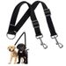 Double Nylon Dog Leash By PawParty Store_voghion.com