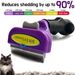 Brosse pour animaux Funami, acier inoxydable, violet/vert/orange/jaune, par PawParty Store_voghion.com