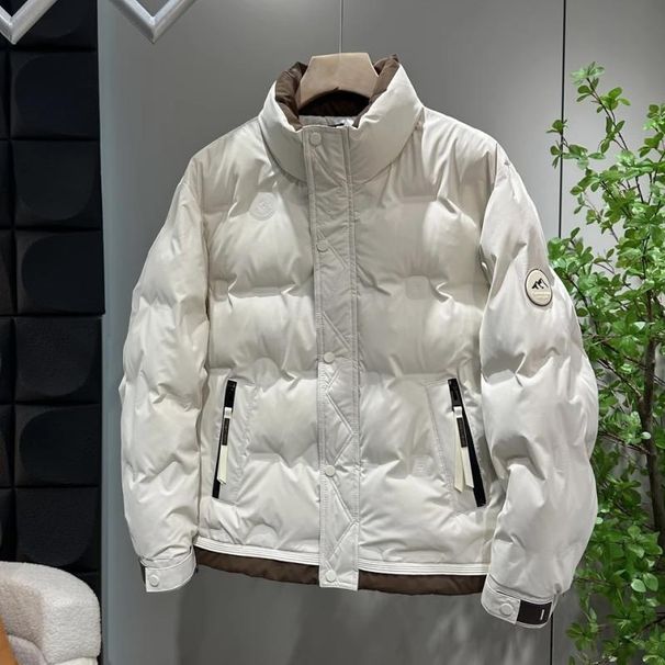 Ropa de hombre Chaqueta de invierno con cuello alto para hombre, moda juvenil, combina con todo, color, estilo coreano, corte entallado, chaqueta fina de pato blanco_voghion.com