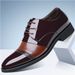TerraStride Echtes weiches Casual Business Formal Leder Flache Glänzende Herren Spitzschuh Versteckte Höhenerhöhung Große Größe Sommerschuhe_voghion.com