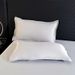 Class A Tencel Summer Cool Feeling Pair Double-Sided Ice High-Count Solid Color Pure Silk Light Luxury Pillowcase_voghion.com