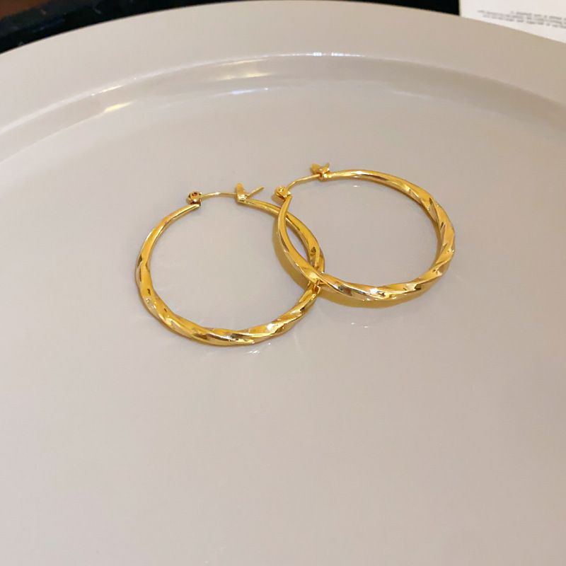 Orecchini a cerchio in stile INS con ago d'argento, design semplice in metallo coreano, personalità delle celebrità di Internet e temperamento_voghion.com