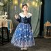 Kinderkleidung 2024 Winter Prinzessin Kleid Weihnachtsgeschenk Mädchen Pelzkragen Prinzessin Kleid Frozen_voghion.com