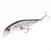 Lure Bait Minnow 8g/10cm Simülasyon Yemi Sert Yem Deniz Balıkçılığı Tatlı Su Balık Yemi Balıkçılık Ekipmanları Ürünleri_voghion.com