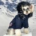 Autumn Winter Thickened Warm Dog Clothes Schnauzer Teddy Bichon Fur Collar Down Jacket_voghion.com