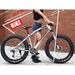Direct Sales Snowmobile 26/ 20inch Dual Disc Brake Mountain Snow Beach Fat Tire Variable Speed Bicycle_voghion.com