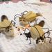 Cockroach Pet Cosplay Outfit Funny Handmade DIY Twist Stick Material Kit Cat Costume_voghion.com