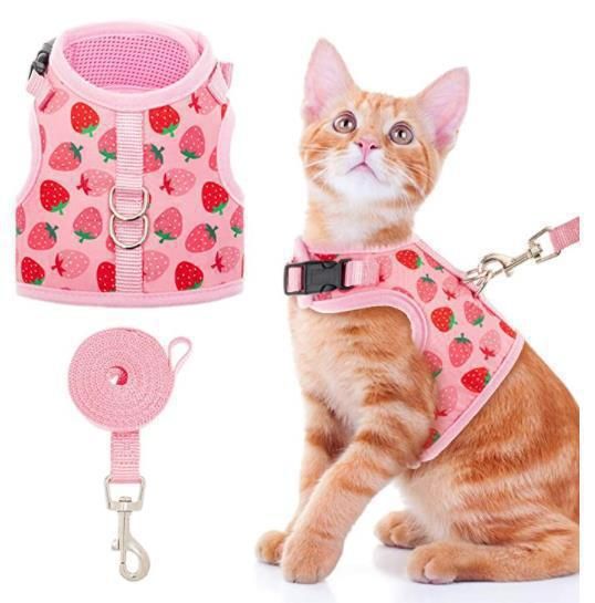 Reflective Cat Anti Release Walking Rope Breathable Pet Chest And Vest Strap_voghion.com