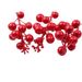 12 rametti di bacche in schiuma con filo per ghirlande natalizie e decorazioni per l'albero - Opzioni glitter oro/rosso/argento e vernice rossa_voghion.com