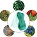 Robuust groen vogelnet voor tuinen en wijngaarden – PE gebreid gaas met UV-bescherming – Verschillende maten (2 m x 5 m/8 m/10 m)_voghion.com