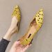 Fashion Plus Size Flats Pointed Flat Shoes_voghion.com
