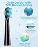 Brosse à dents électrique sonique Phylian bleu clair, 8 têtes, 5 modes, rechargeable, NEUF_voghion.com